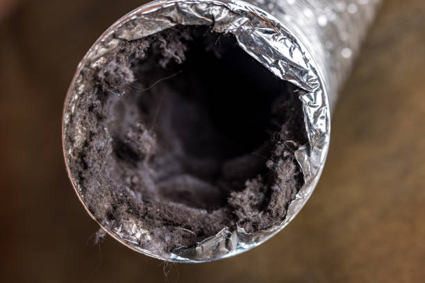 Best Best Air Duct Cleaning Company  in Doral, FL