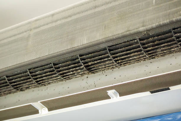 Best Commercial HVAC Duct Cleaning  in Doral, FL